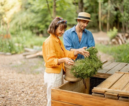 conseguir una compostador